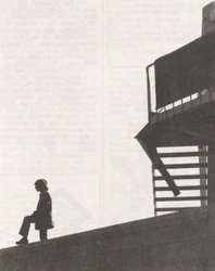 A lone figure on top of Senate House during the occupation.[21]